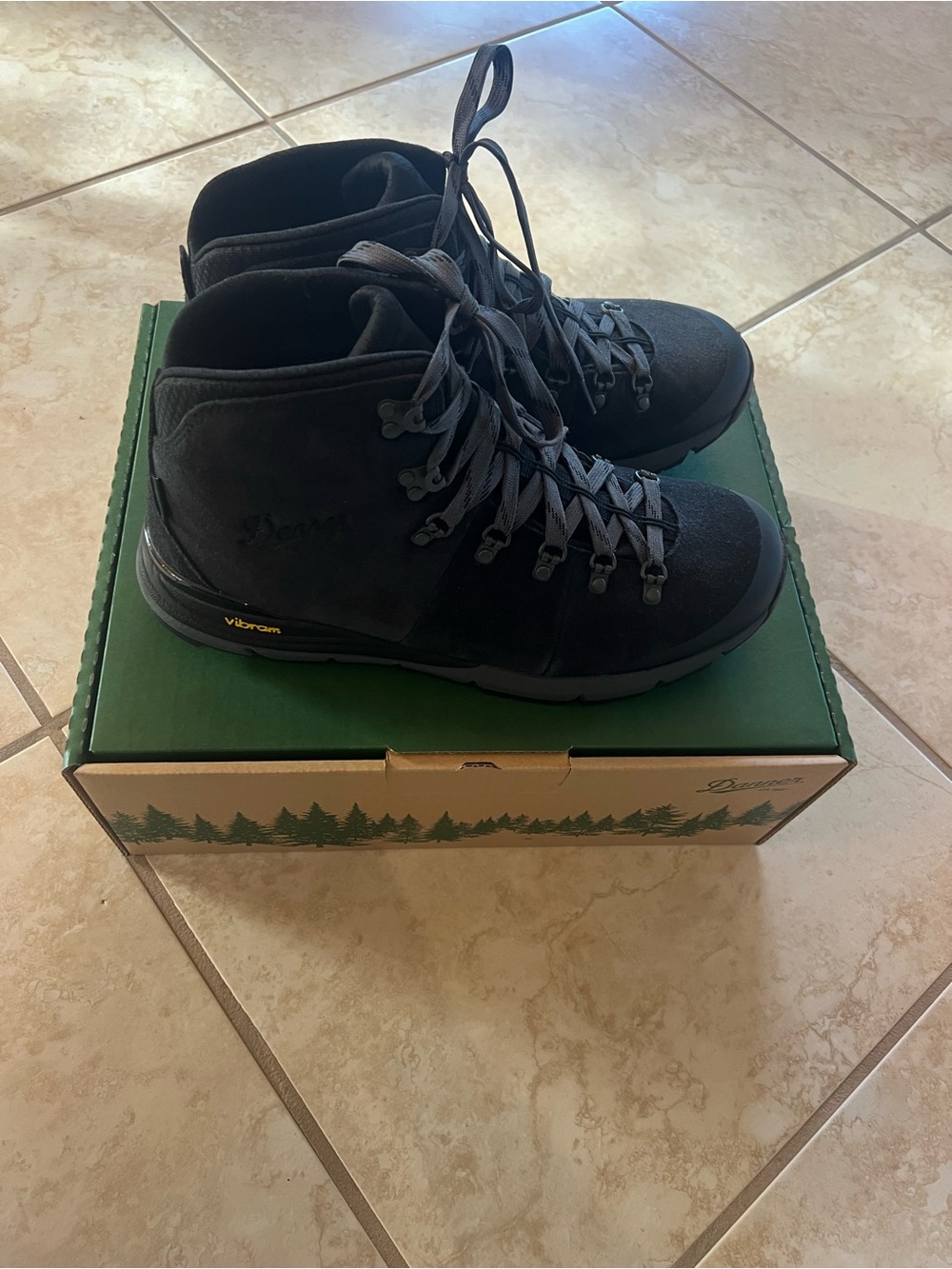 Danner mountain 600 Black Men's Outdoor Hiking Boots with Vibram soles